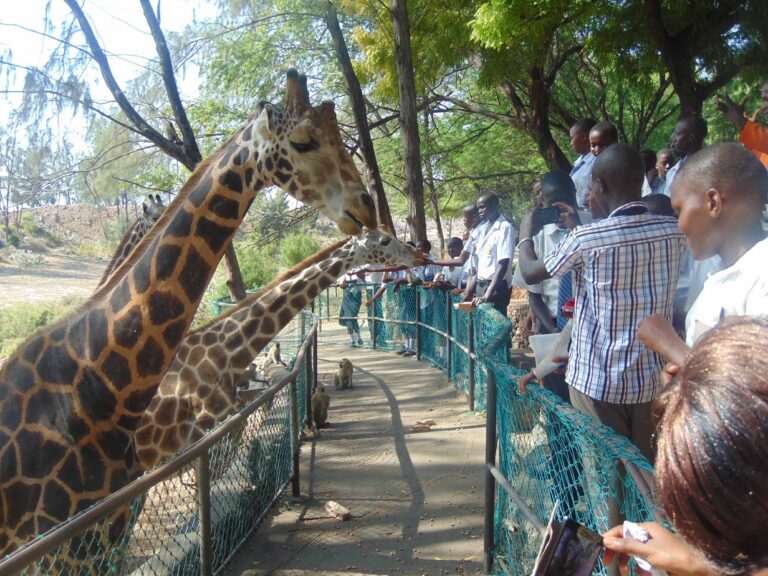 Full Day Mombasa City tour