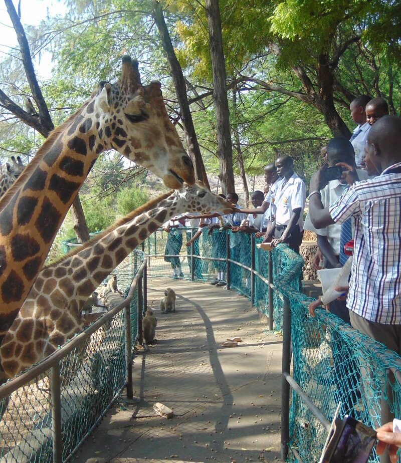 Mombasa Haller Park