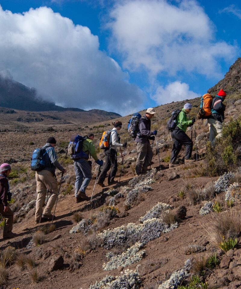 Kilimanjaro Climbing Safari