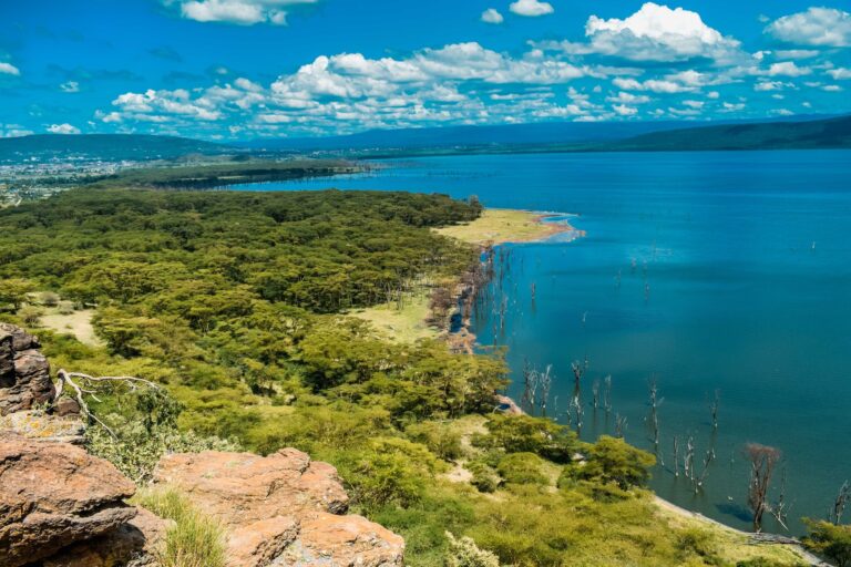 1 Day Lake Nakuru