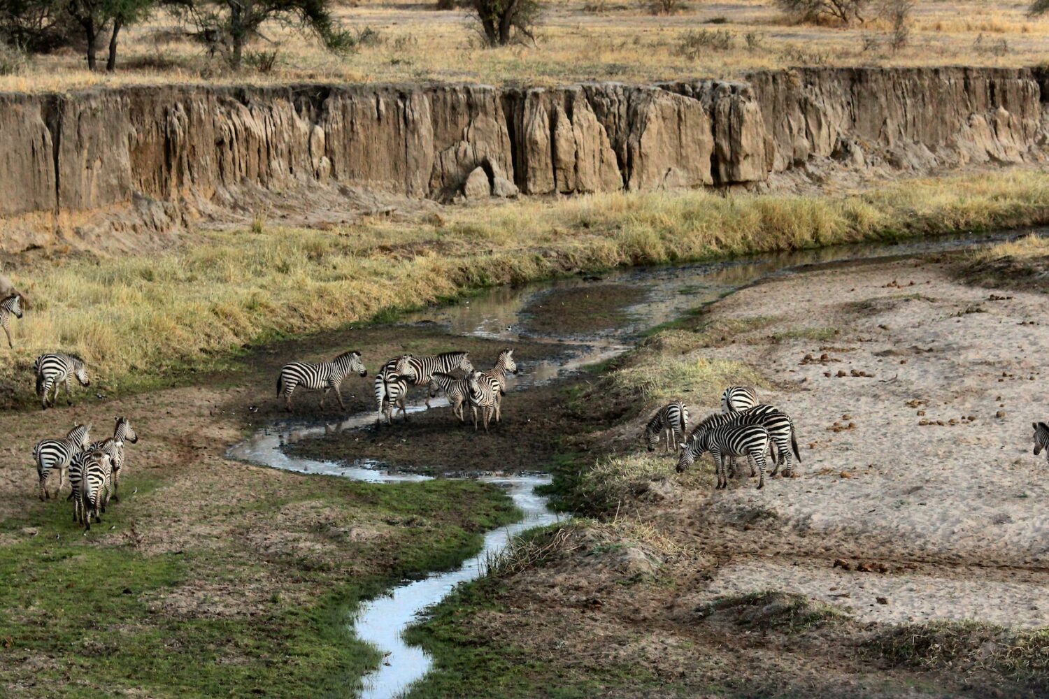 Serengeti Tanzania Safari