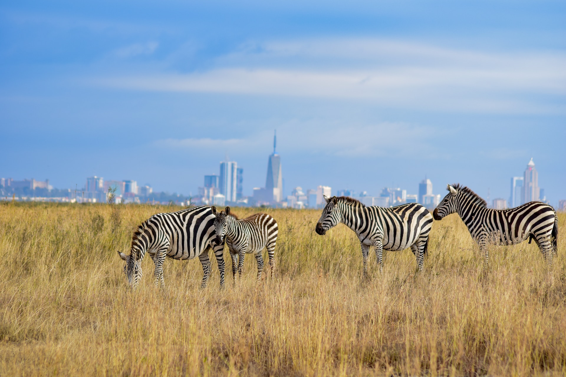 Nairobi Day Trips